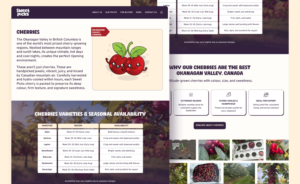 b2b fruits by ahtisham ali-1