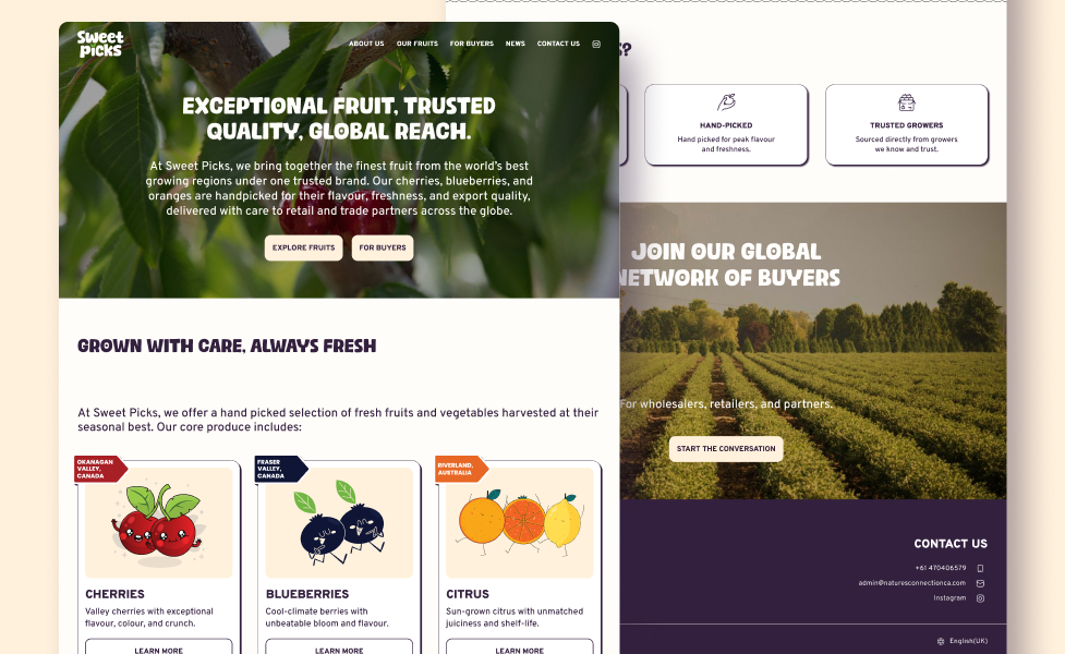 b2b fruits by ahtisham ali